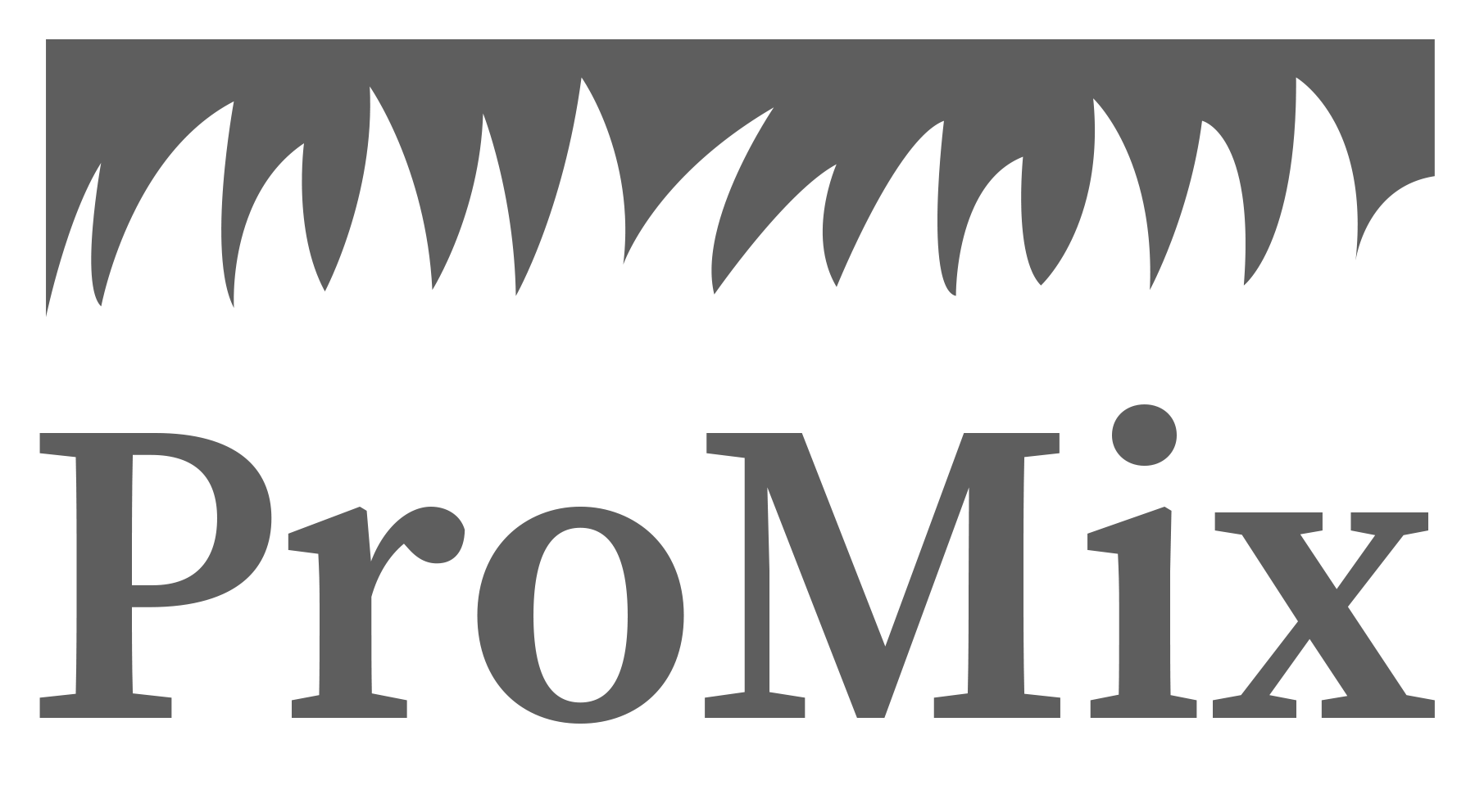 Logo-Promix
